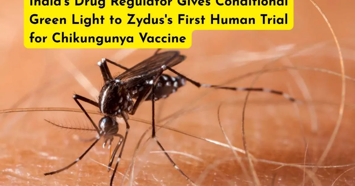 India's Drug Regulator Gives Conditional Green Light to Zydus's First Human Trial for Chikungunya Vaccine