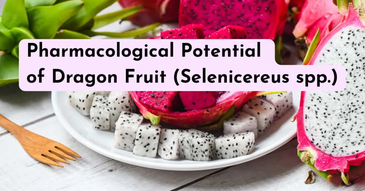 Pharmacological Potential of Dragon Fruit (Selenicereus spp.)