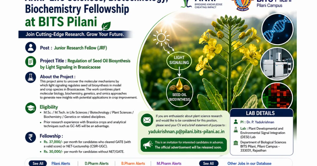 ANRF Life Sciences, Biotechnology, Biochemistry Fellowship at BITS Pilani