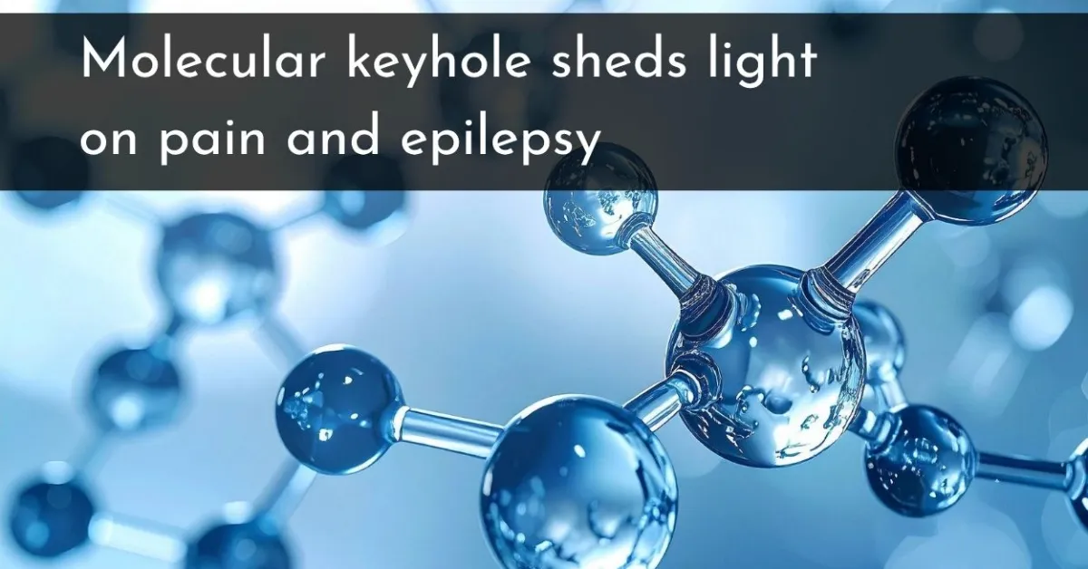 Molecular keyhole sheds light on pain and epilepsy