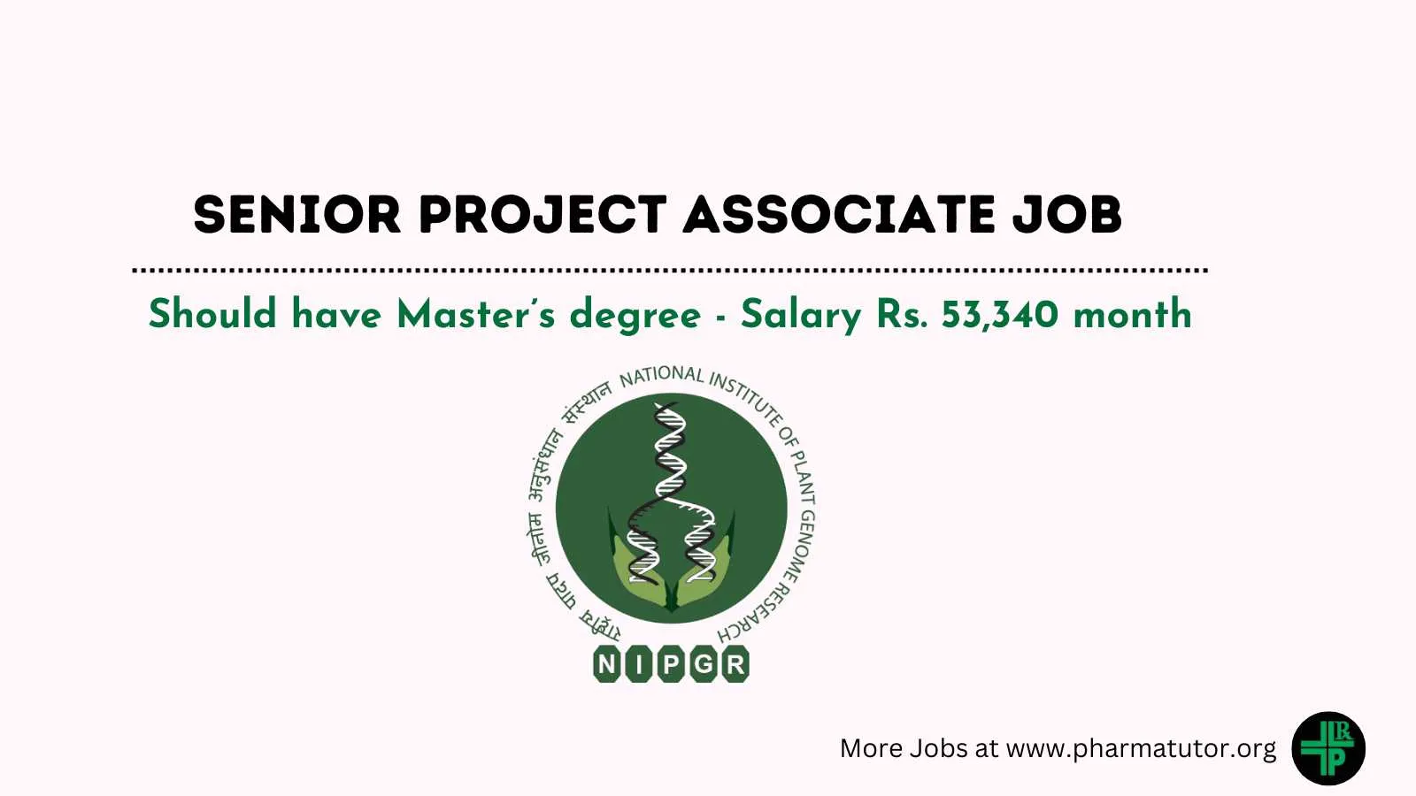 Senior Project Associate Job at NIPGR