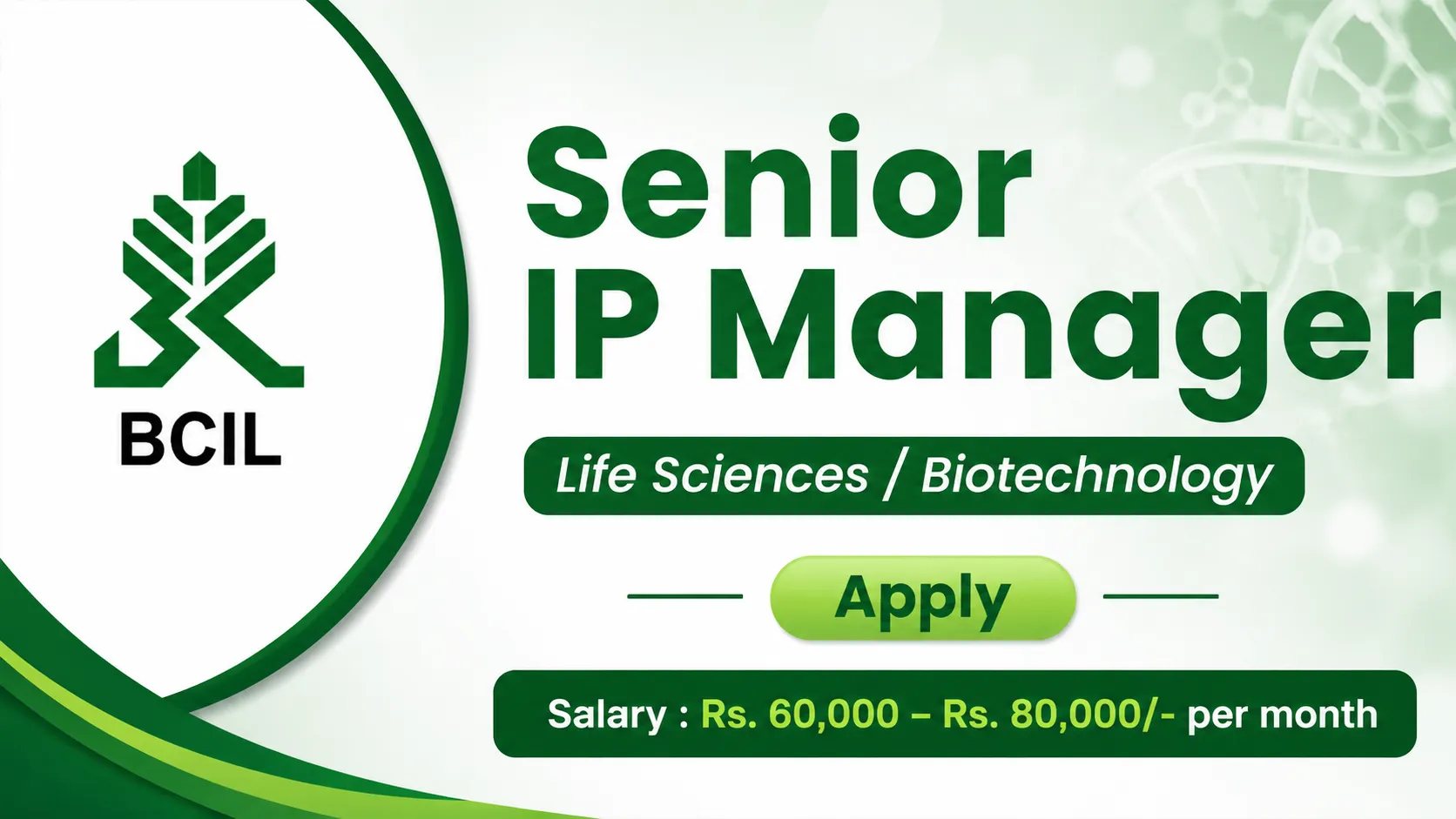 Applications are invited for the post of Senior IP Manager at BCIL