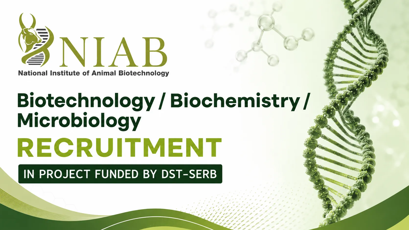 Biotechnology / Biochemistry / Microbiology Recruitment in Project funded by DST-SERB, NIAB