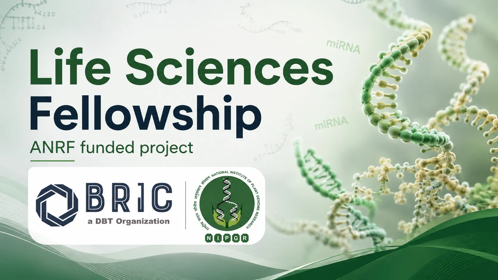 Life Sciences Fellowship at NIPGR