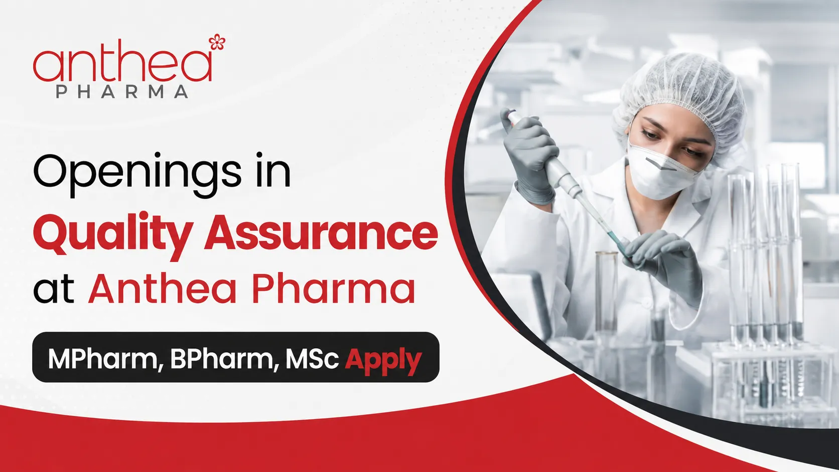 Openings in Quality Assurance at Anthea Pharma