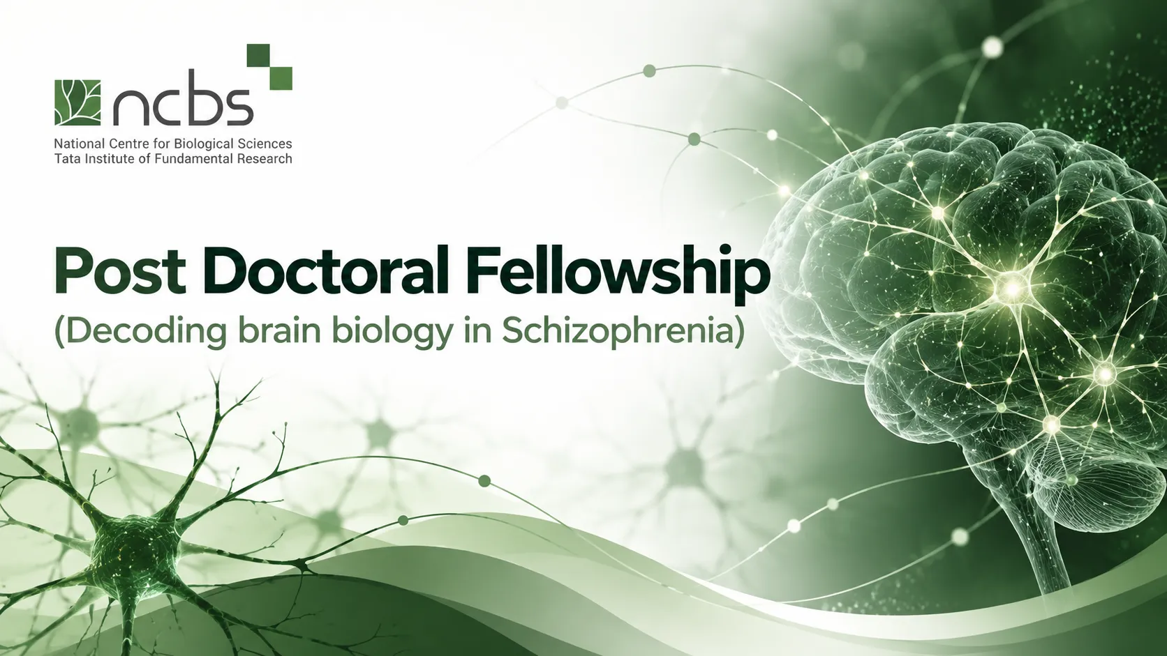 NCBS Post Doctoral Fellowship