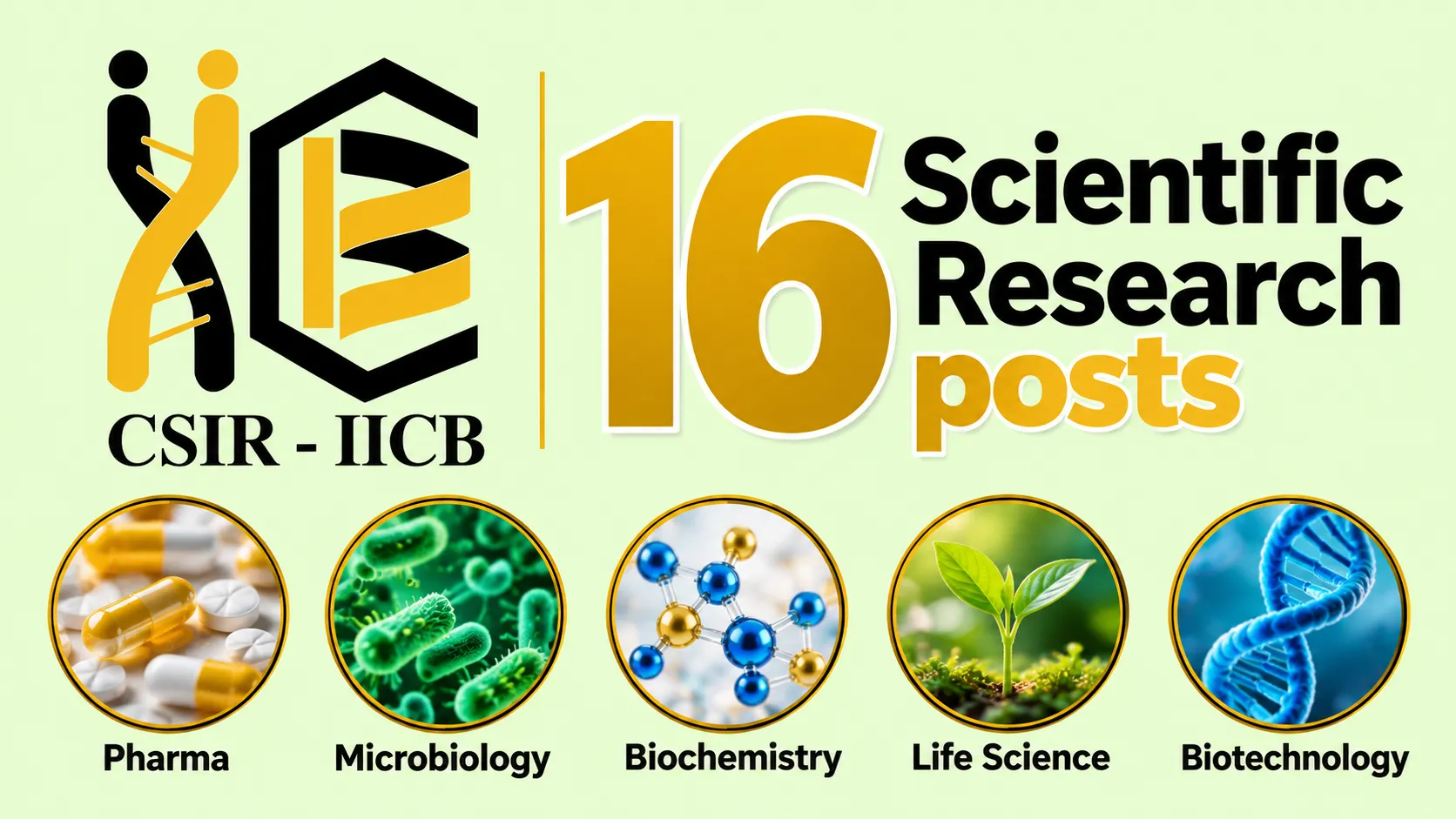 16 Scientific Research posts for Pharma, Microbiology, Biochemistry, Life Science, Biotechnology at IICB