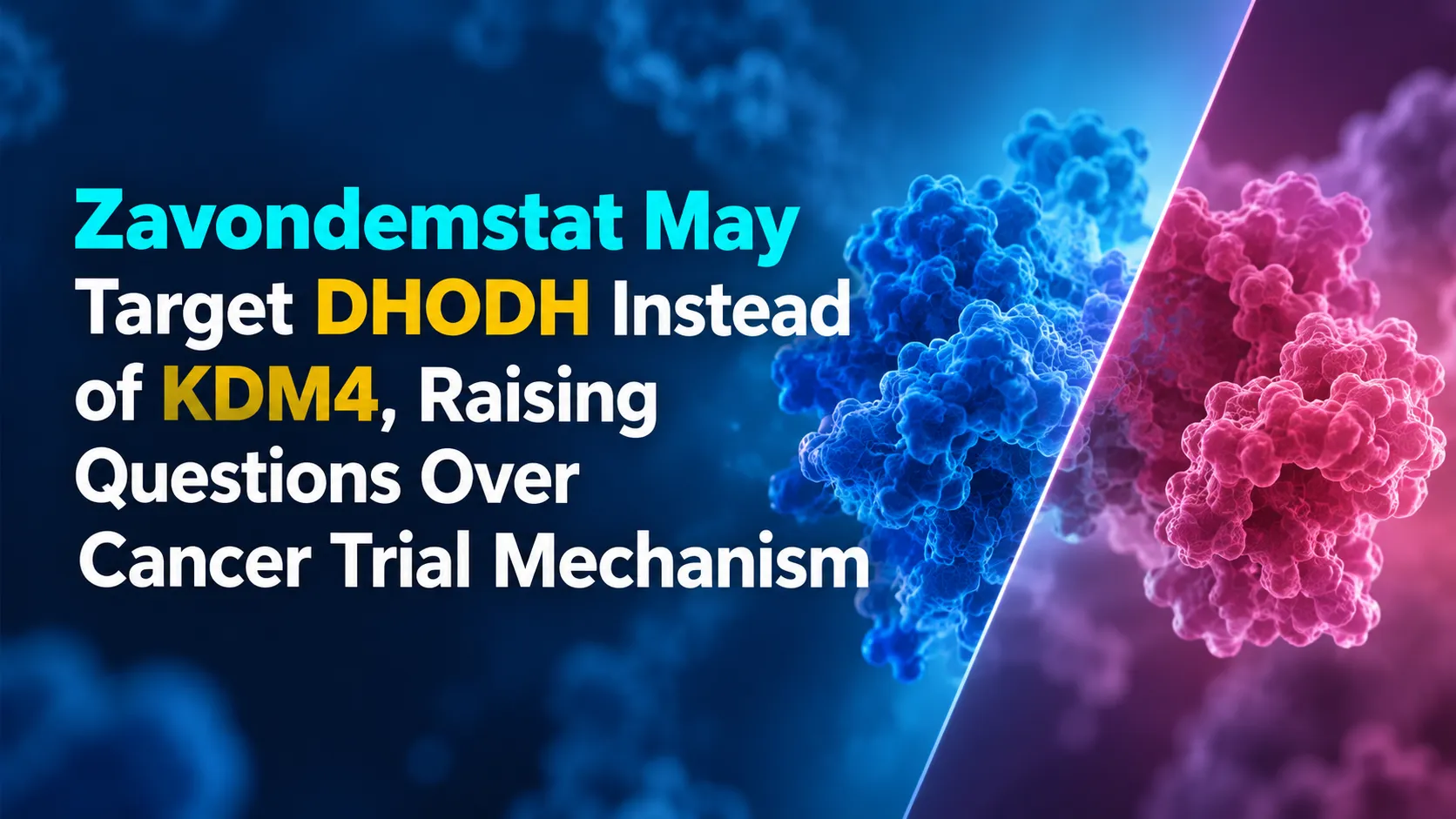 Zavondemstat May Target DHODH Instead of KDM4, Raising Questions Over Cancer Trial Mechanism