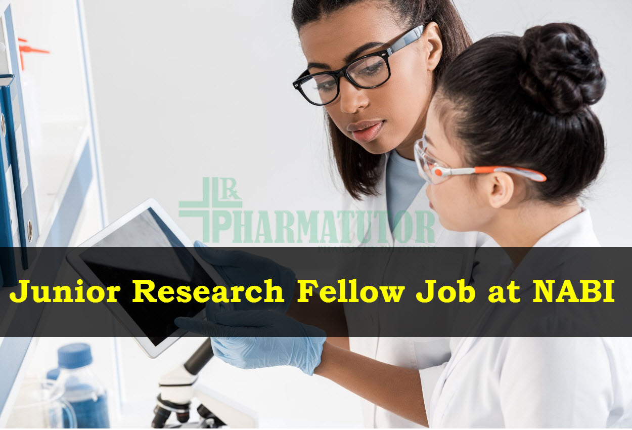 what is a junior research fellow