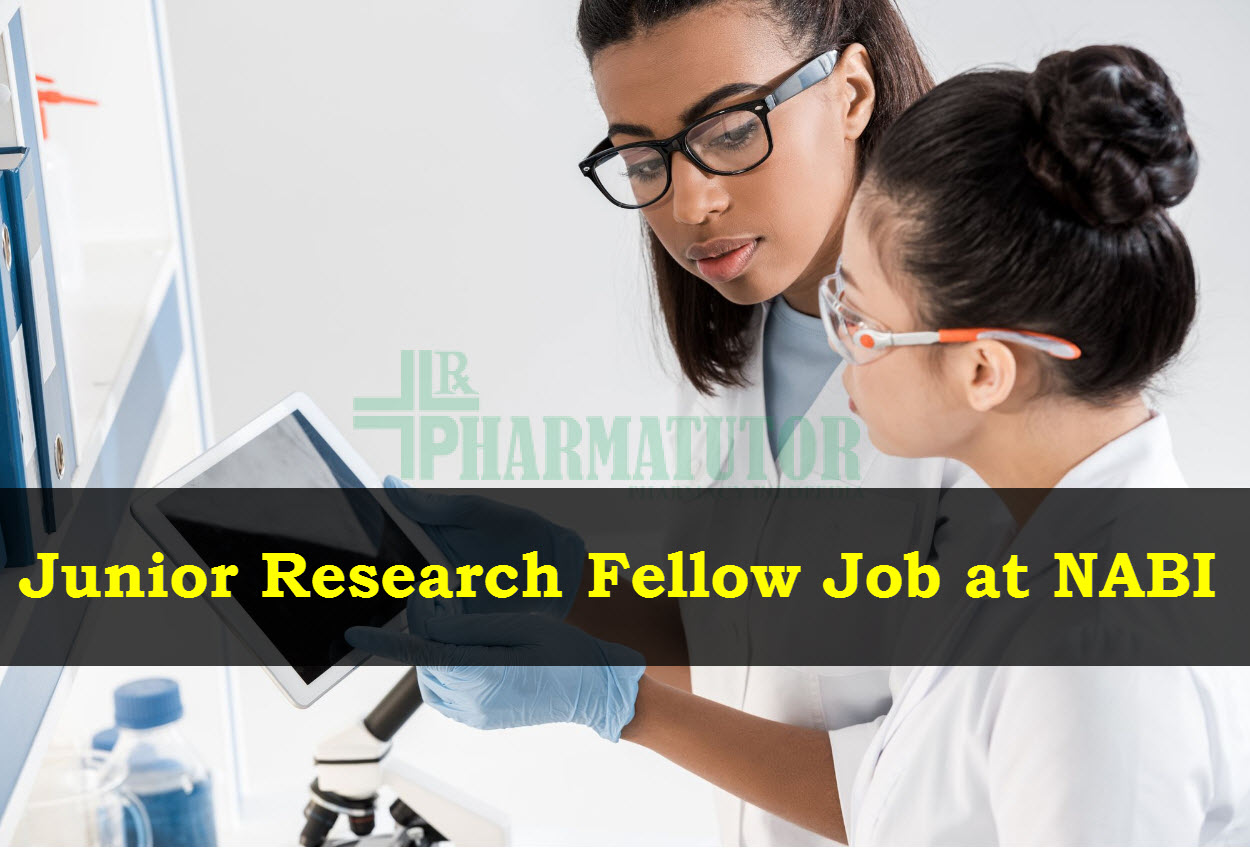 junior research fellow vacancy