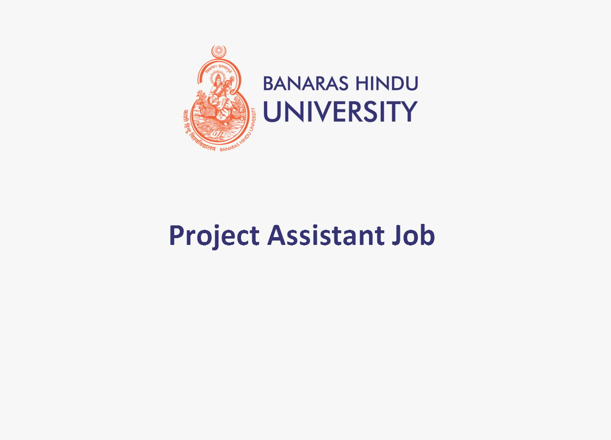 Work as Project Assistant at Institute of Medical Sciences